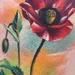 Tattoos - Poppy Flower - 59887